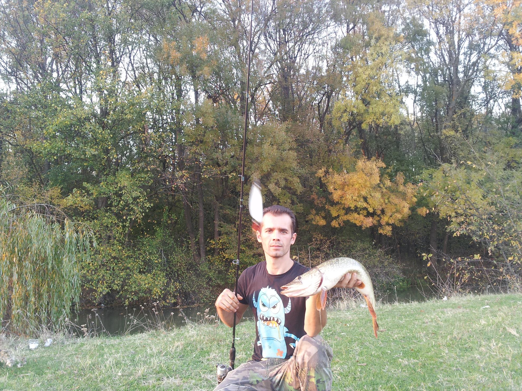 Neajlov - 20131022175451.jpg